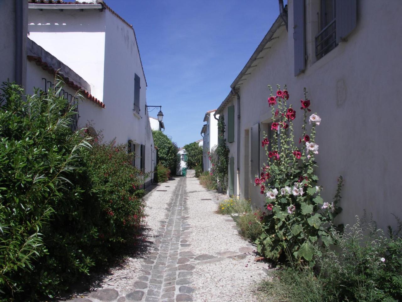 Appartement Liseron Saint-Martin-de-Ré Εξωτερικό φωτογραφία